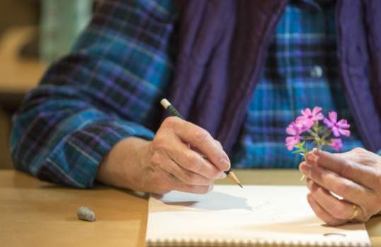 Spring Botanical Art: Learning to Draw Spring Wildflowers