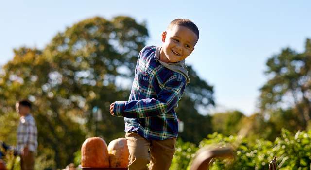 Pumpkin Picking