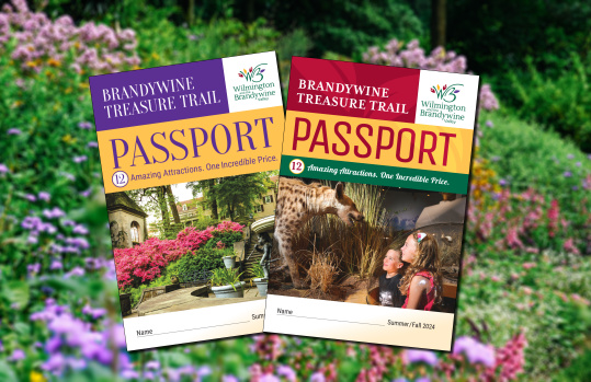 Passport 2024