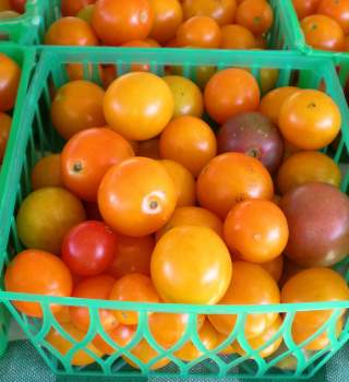 Green Market Tomatoes