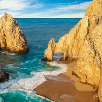 Discover a once in a lifetime culinary experience... From the Sea of Cortez to your table.