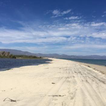 Desperados' Las Playas Resort in Cabo San Lucas: Here's where movie was  actually filmed
