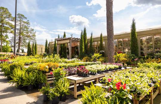 10 Places to Spend a Quiet Weekend in Auburn-Opelika