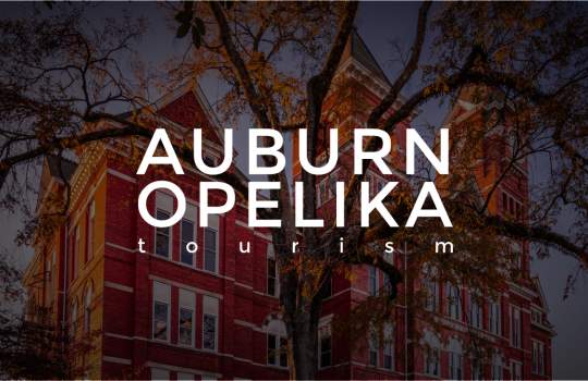 Art Bomb at Opelika Art Haus