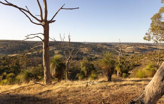 Aerial of Chittering