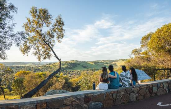 Overlooking Toodyay from Lookout