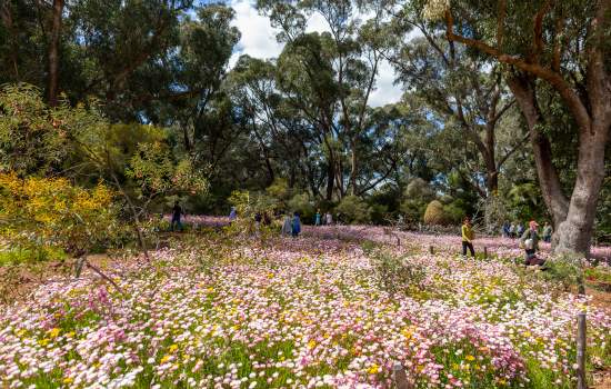 WA Botanic Gardens