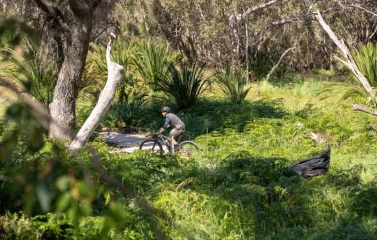 Yalbunullup Mountain Bike Trail