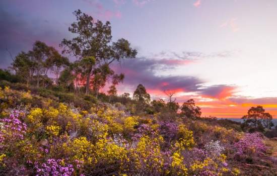 perth hills