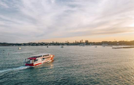 15% Off Winter On Rotto With Rottnest Express