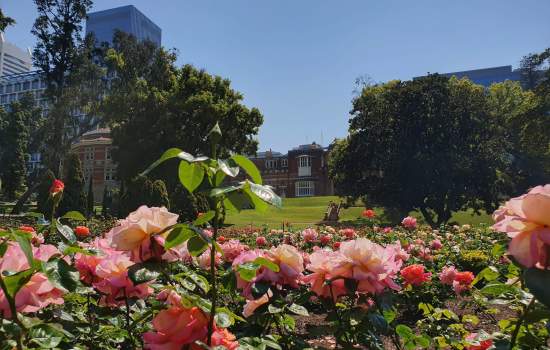 Government House Gardens