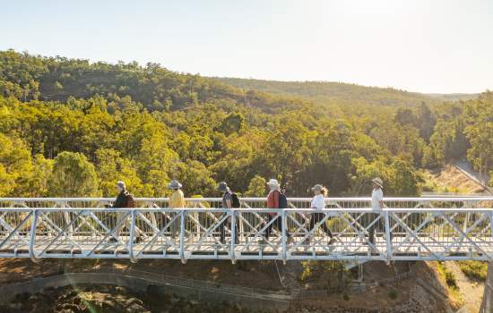 Walking trail tour with Off the Beaten Track, Dwellingup