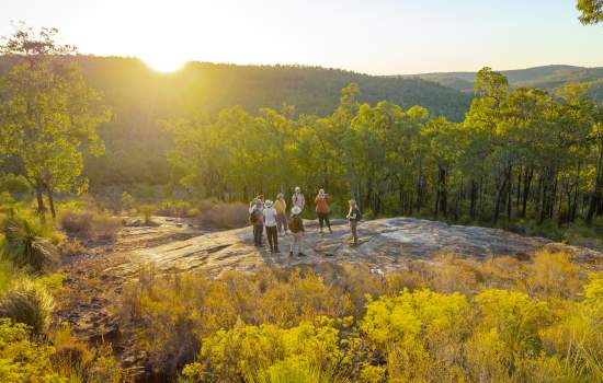 The Hike Collective, Perth Hills