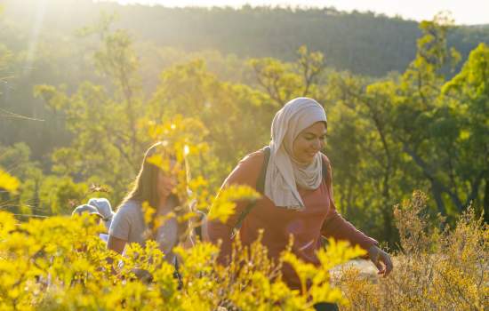 Hiking through wildflowers near Mundaring with The Hike Collective, Perth Hills