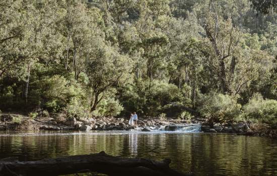 Lane Poole Reserve - Sarah Coote