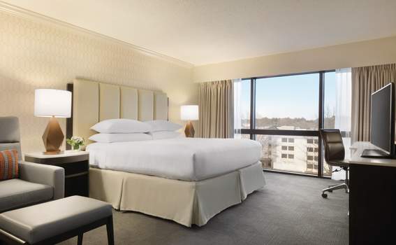 Hilton Greenville - 1 King Bed Junior Suite
