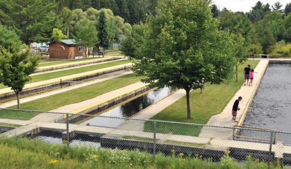 Fish Hatchery