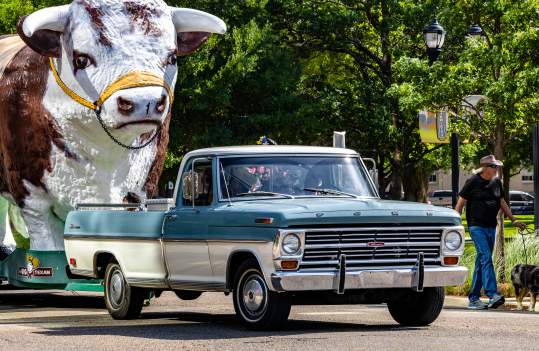 A vintage Ford pickup truck in light blue and white is parked on a sunny street in Amarillo, Texas, with a large bull statue from "The Big Texan" Steak Ranch attached to the back. A man in a cowboy hat walks his dog nearby, with green trees and street lamps in the background, creating a vibrant, Western-themed scene