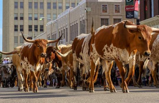 Coors Cowboy Club Photo Contest 2014 Winning photo