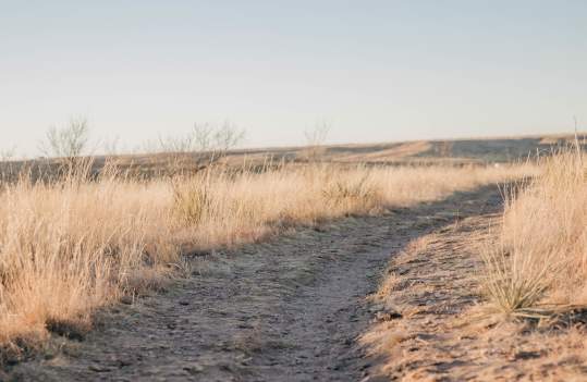 Photo of Wildcat Bluff Nature Center Trail