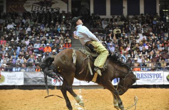 cowboy riding a horse in a stadium