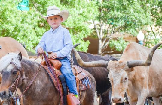 Coors Cowboy Club Photo Contest 2016 Open Range Winning Photo