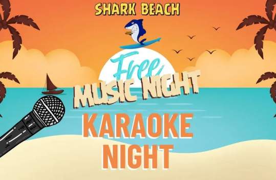 Free Karaoke Night