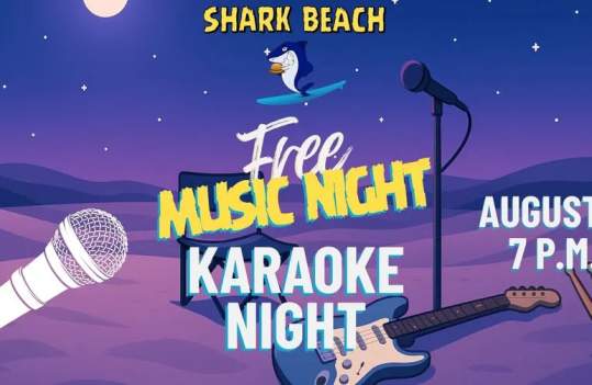 Free Karaoke Night