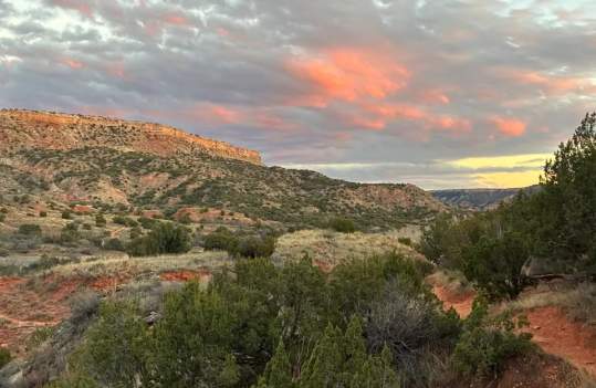 "Early-Bird" Hike 🐦