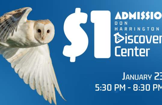 Discover for a Dollar