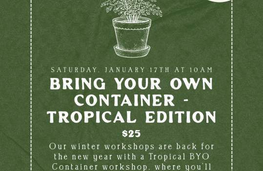 Bring Your Own Container Workshop : Tropical Edition