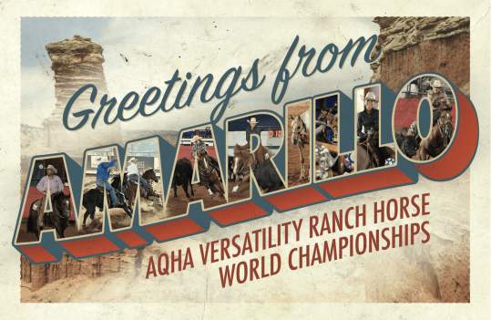 AQHA Versatility Ranch Horse World Championships