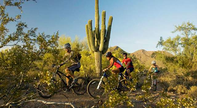 Hiking or Mountain Biking in Phoenix? Watch for these 'Easter Eggs