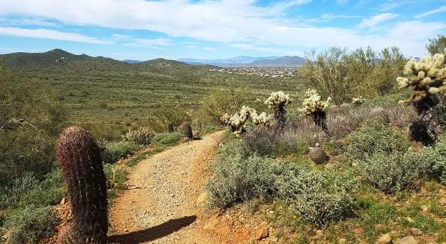 Apache Wash Trailhead in the Phoenix Mountains Preserve