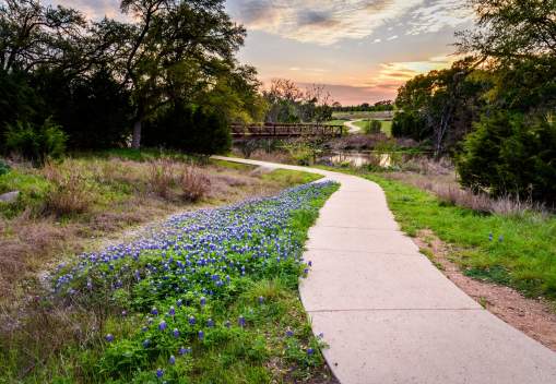 Brushy Creek Sunset