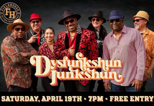 Dysfunkshun Junkshun
