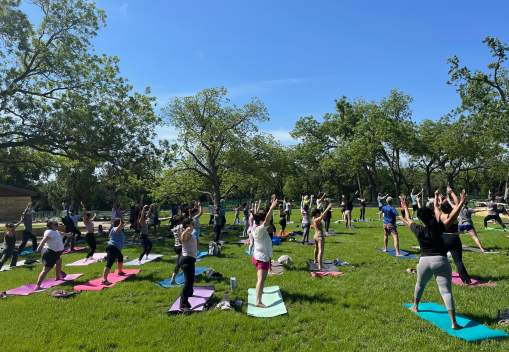 Free Yoga in The Park