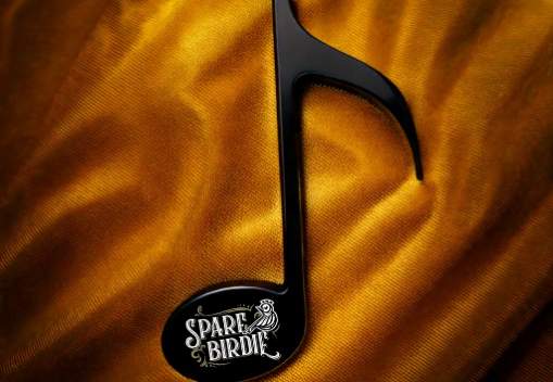Preachers on the Radio performs at Spare Birdie!