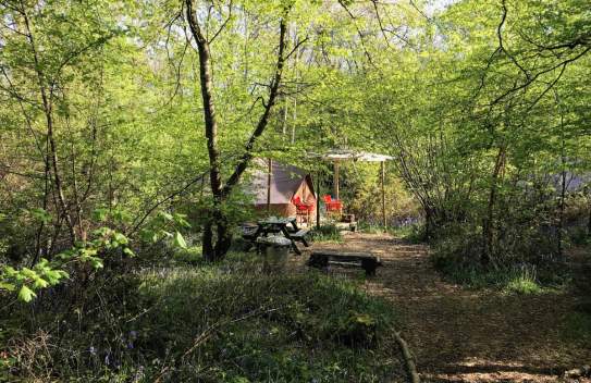 Woodland Glamping at Wild Boar Wood Campsite