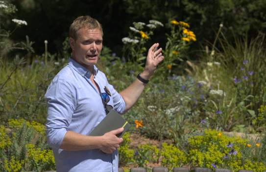 Gardens as laboratories: what Sheffield Park is teaching us about our future landscapes