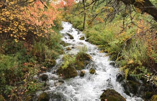 Cascade Falls