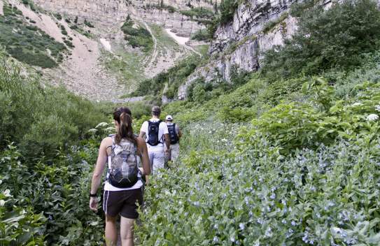 Hiking