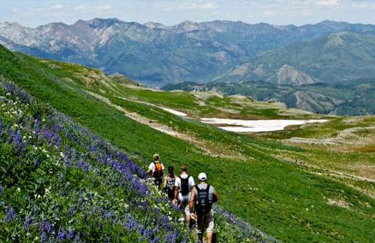 The Ultimate Guide to the 50 Best Hikes in Utah Valley