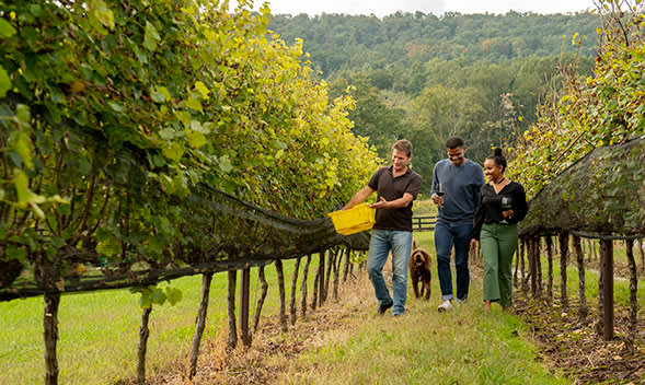 DTN - Media Kit - ROS