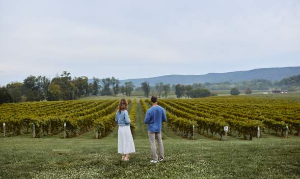 Couple standing at the entrance of grapevine rows at Breaux Vineyards in Purcellville Virginia