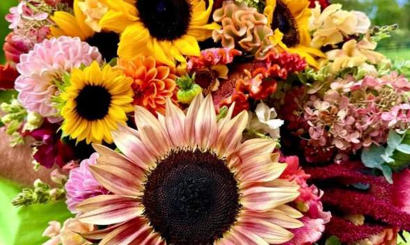 Legacy Farms - flowers