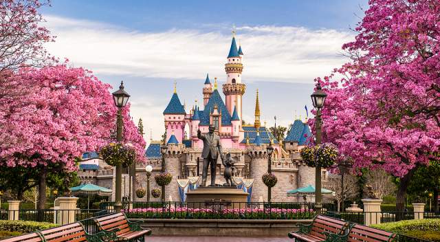disney world spring wallpaper