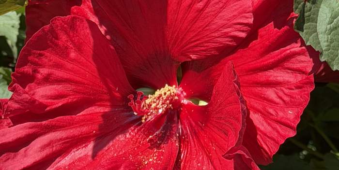 University of Delaware, Botanic Gardens