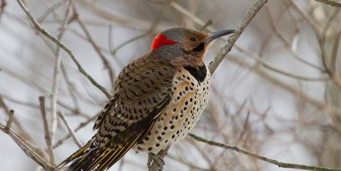Ashland Nature Center