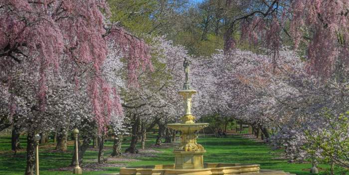 Wilmington State Parks - Brandywine Park